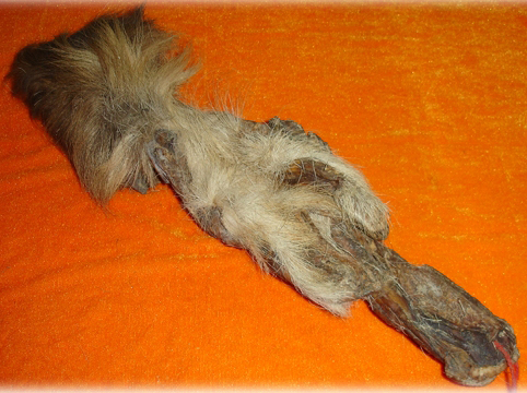 ¹